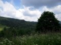 Jaworzec i okolice - Bieszczady