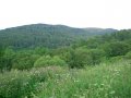 Jaworzec i okolice - Bieszczady