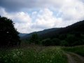 Jaworzec i okolice - Bieszczady