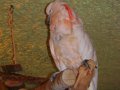 Ogród zoologiczny w Gdańsku