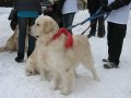 Goldeny zbierały pieniądze na WOŚP