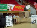 Koci karnawał - wystawa 2010