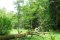 Arboretum w Kudypach 2010