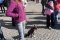 Festynz Pupilem