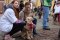 Golden Retriever, czyli nietypowi wolontariusze WOŚP