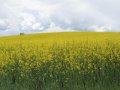 Fot.własne/olsztyn.com.pl