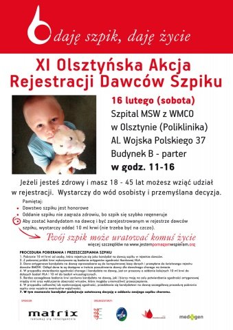 48724_plakat-dawcow_szpiku_2013_480