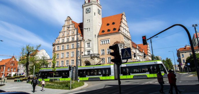 Zielona stolica bez wege oferty? Olsztyn ignoruje roślinny trend